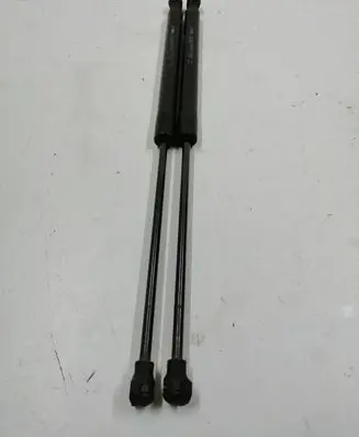Tailgate strut