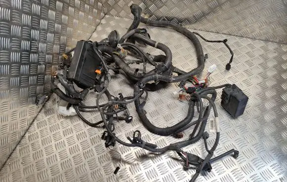 Nissan Juke I F15 Engine installation wiring loom 240121KA9E