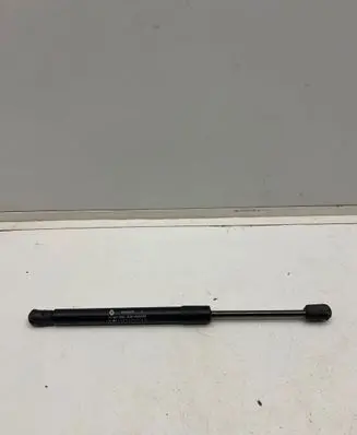 Tailgate strut