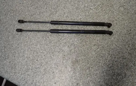Tailgate strut