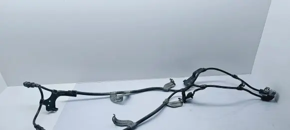 Lexus NX Other wiring loom