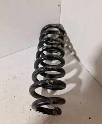 Rear coil spring