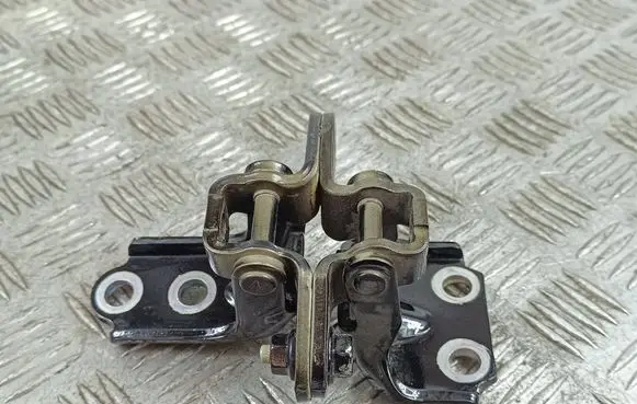 KIA EV6 Rear door hinge set 