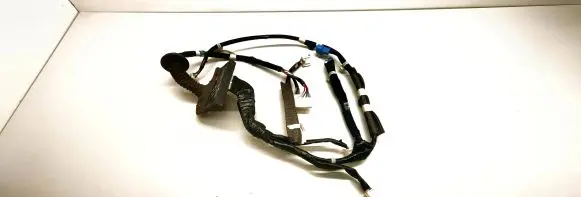 Lexus CT 200H Front door wiring loom 8215276200