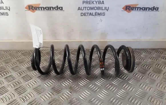 Rear coil spring