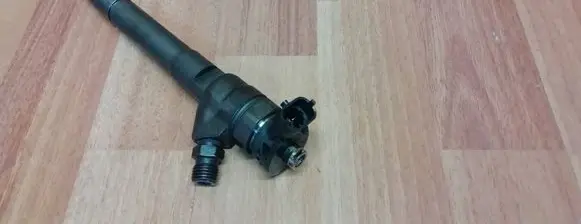Renault Espace V (RFC) Fuel injector 0445110569 166000804R 95518001