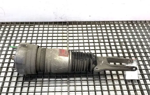 Porsche Panamera (970) Front shock absorber/damper 