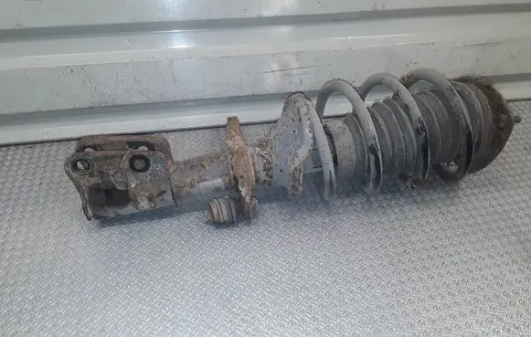Land Rover Freelander Front shock absorber with coil spring 