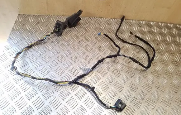 Rear door wiring loom