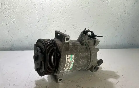 Skoda Octavia Mk2 (1Z) Air conditioning (A/C) compressor (pump) 5N0820803C R134A1702P 067643090B4