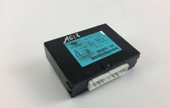 Hyundai Getz Other control units/modules 954001C301 A518