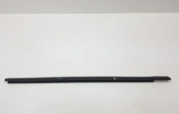 KIA Sportage Rear door glass trim molding