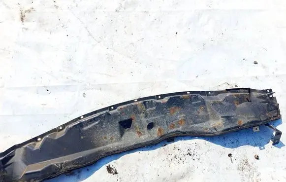 Nissan Primera Wiper trim 