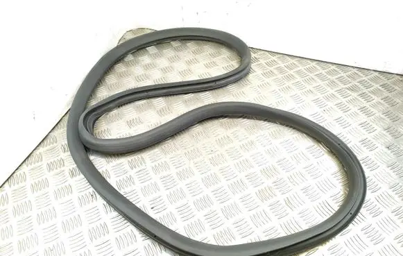 Peugeot 508 II Rear door rubber seal (on body) 9813388580