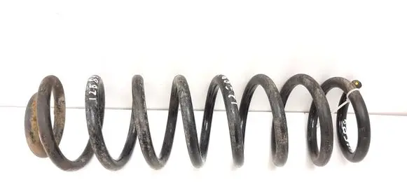 Front coil spring