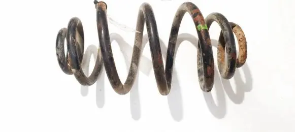 Rear coil spring