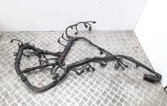 Engine installation wiring loom