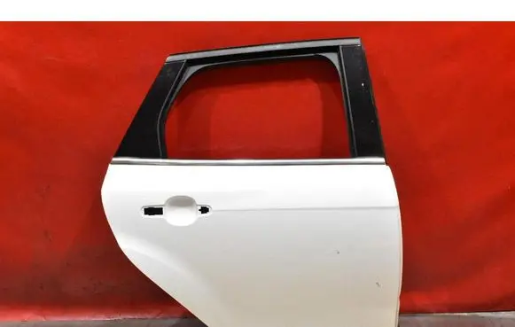 Ford Focus ST Rear door