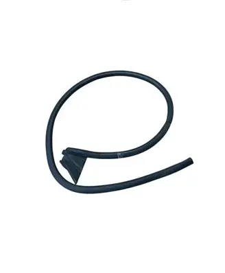 Ford Mustang VI Rubber seal front coupe door FR3B7620708A