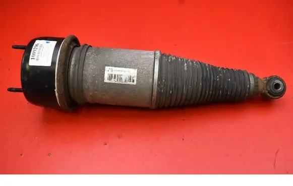 Rear shock absorber/damper