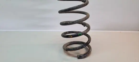 Rear coil spring