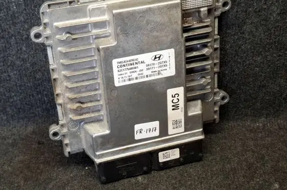 Hyundai Santa Fe Engine control unit/module 391702GTX5 391712GTX5