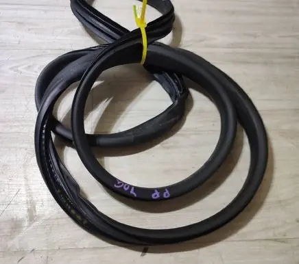 Dacia Jogger Front door rubber seal 