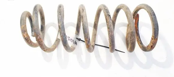 Rear coil spring