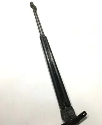 Tailgate/trunk strut/damper