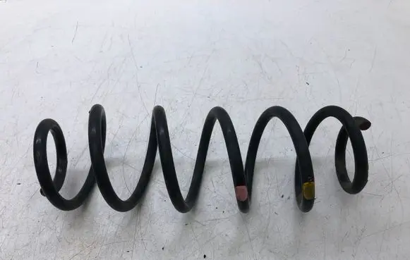 Rear coil spring