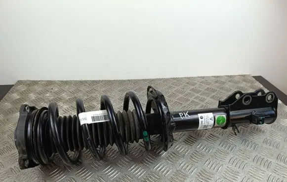 MG HS Front shock absorber with coil spring 11842273F054