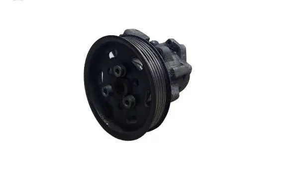 Volkswagen Polo III 6N 6N2 6NF Power steering pump 6N0145157KAS 6N0145157