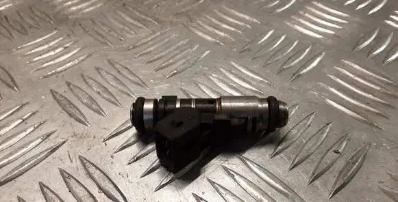 Citroen C3 Fuel injector IPM002