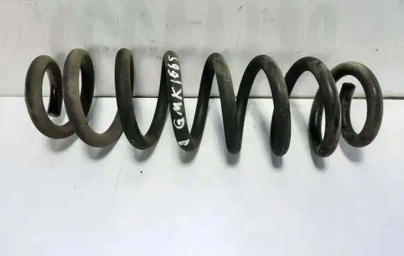 Opel Insignia B Rear coil spring