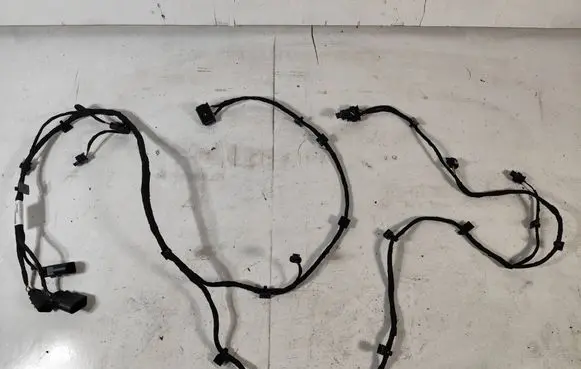 Other wiring loom