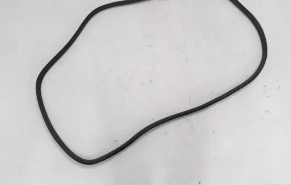 Renault Zoe Front door rubber seal 