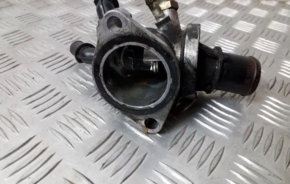 Thermostat/thermostat housing