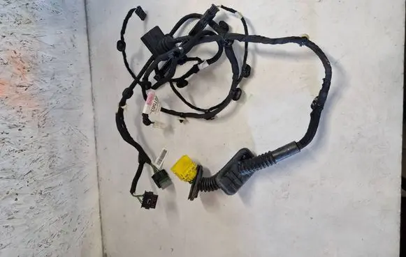 Rear door wiring loom