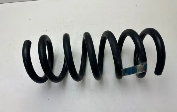 Ford Mustang VI Rear coil spring FR3C5560BC