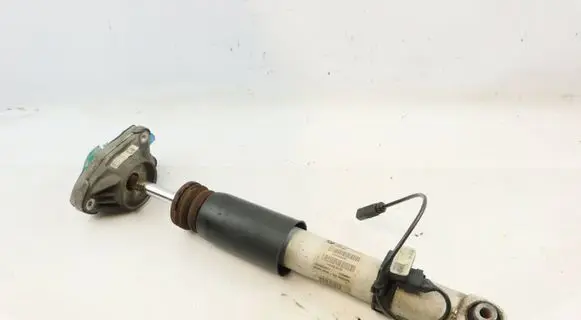 BMW M4 F82 F83 Rear shock absorber/damper 2284909 33522284909
