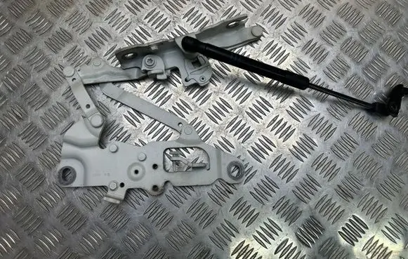 BMW 6 F06 Gran coupe Engine bonnet/hood hinges 7249887