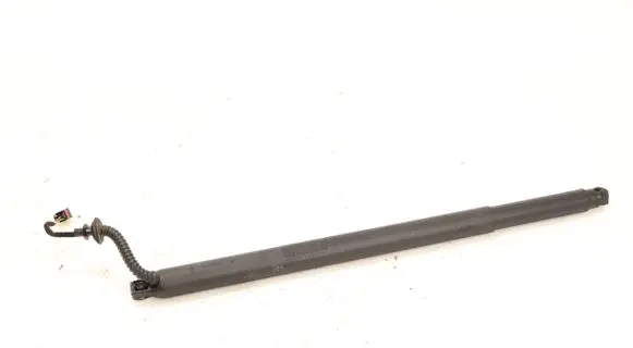 Tailgate strut