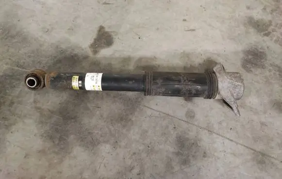 Lexus UX Rear shock absorber/damper 4853076180