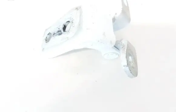Honda CR-V Rear door lower hinge MGRR