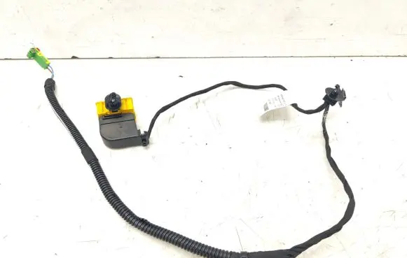 Renault Laguna III Other wiring loom 4433346