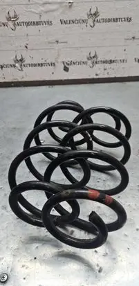 Mercedes-Benz C W205 Rear coil spring