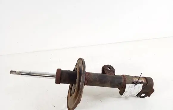 Toyota RAV 4 (XA30) Front shock absorber/damper 48520-42190