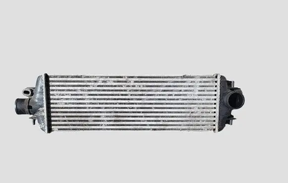 Renault Trafic II (X83) Intercooler radiator 8200219497