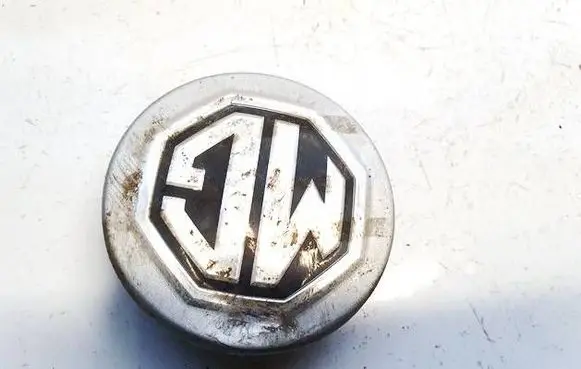 MG HS Original wheel cap 10071402