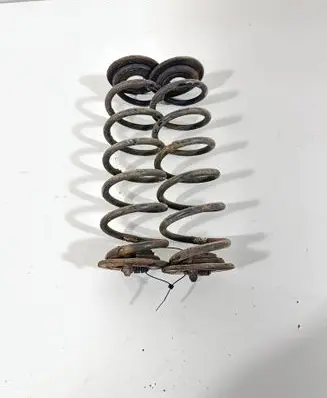 Rear coil spring
